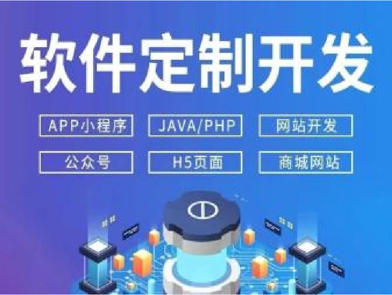 选择上海软件开发公司的指南